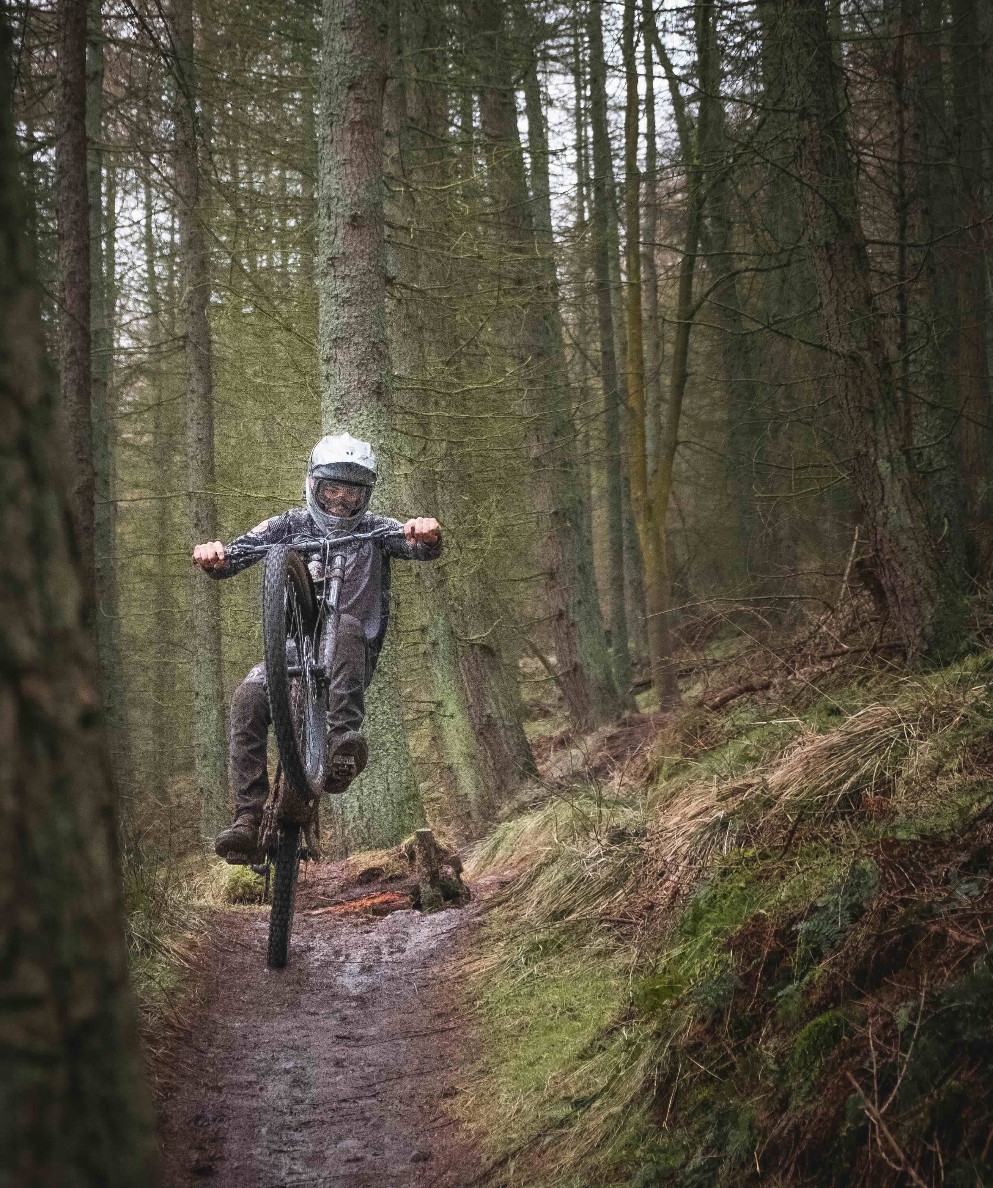 MTB Advanced - Fokus Wheelie