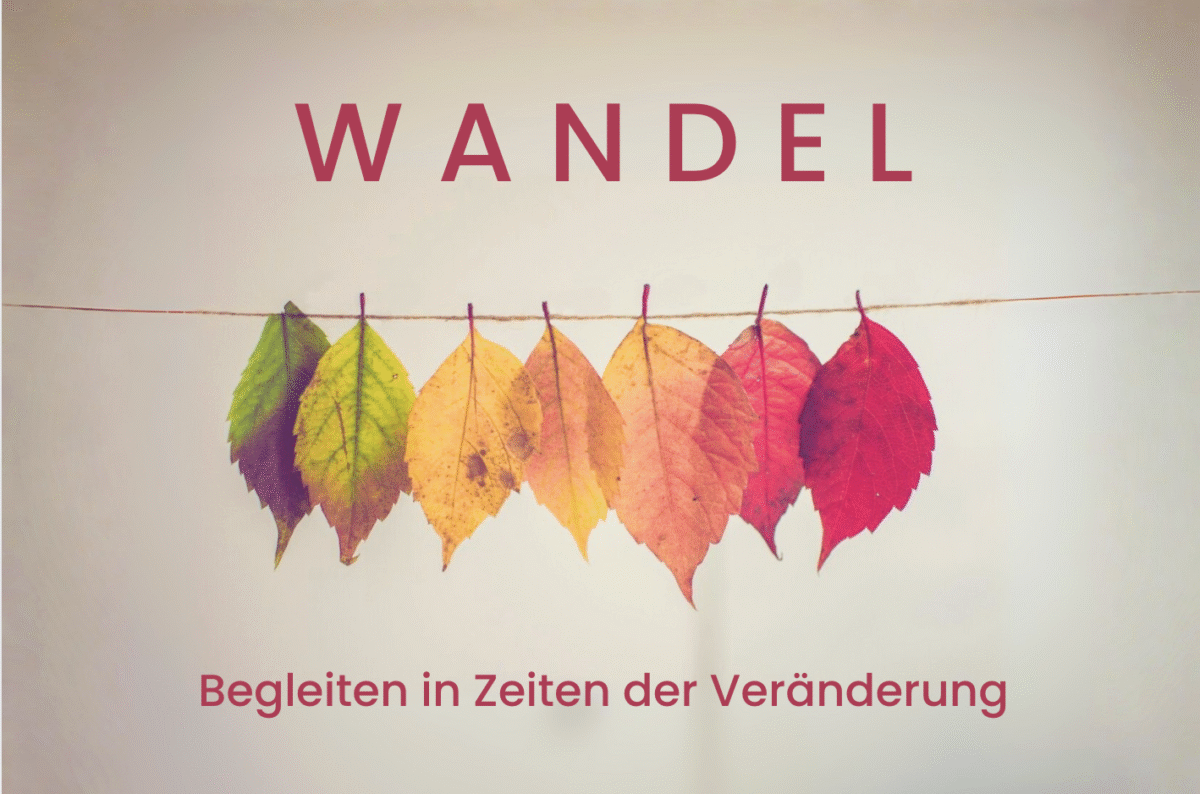 Kó Tageskongress 25.1. 2026.    Wandel - begleiten in Zeiten der Veränderung