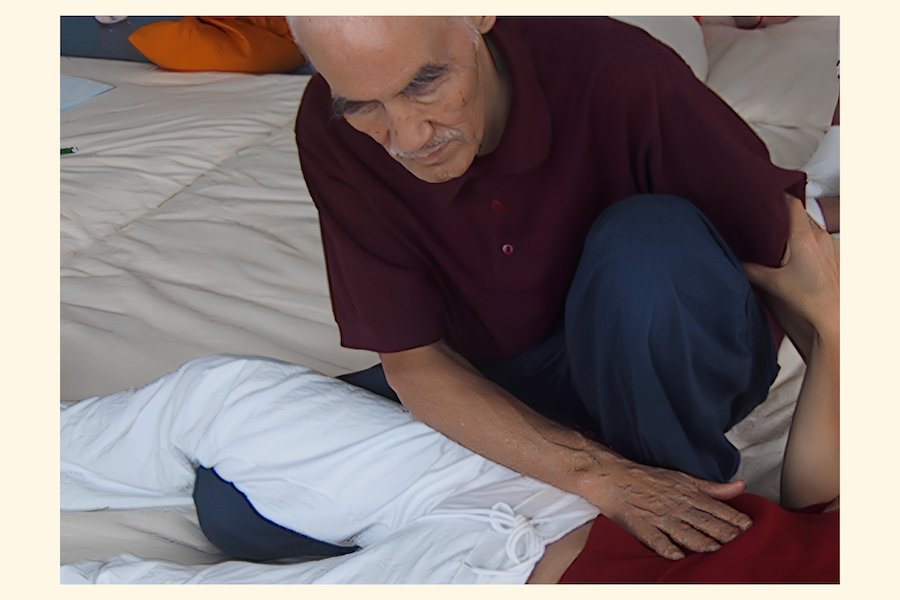 Hiron-Shiatsu Praxistag - Moxa, Nabel, Verdauung, start 4.9.27