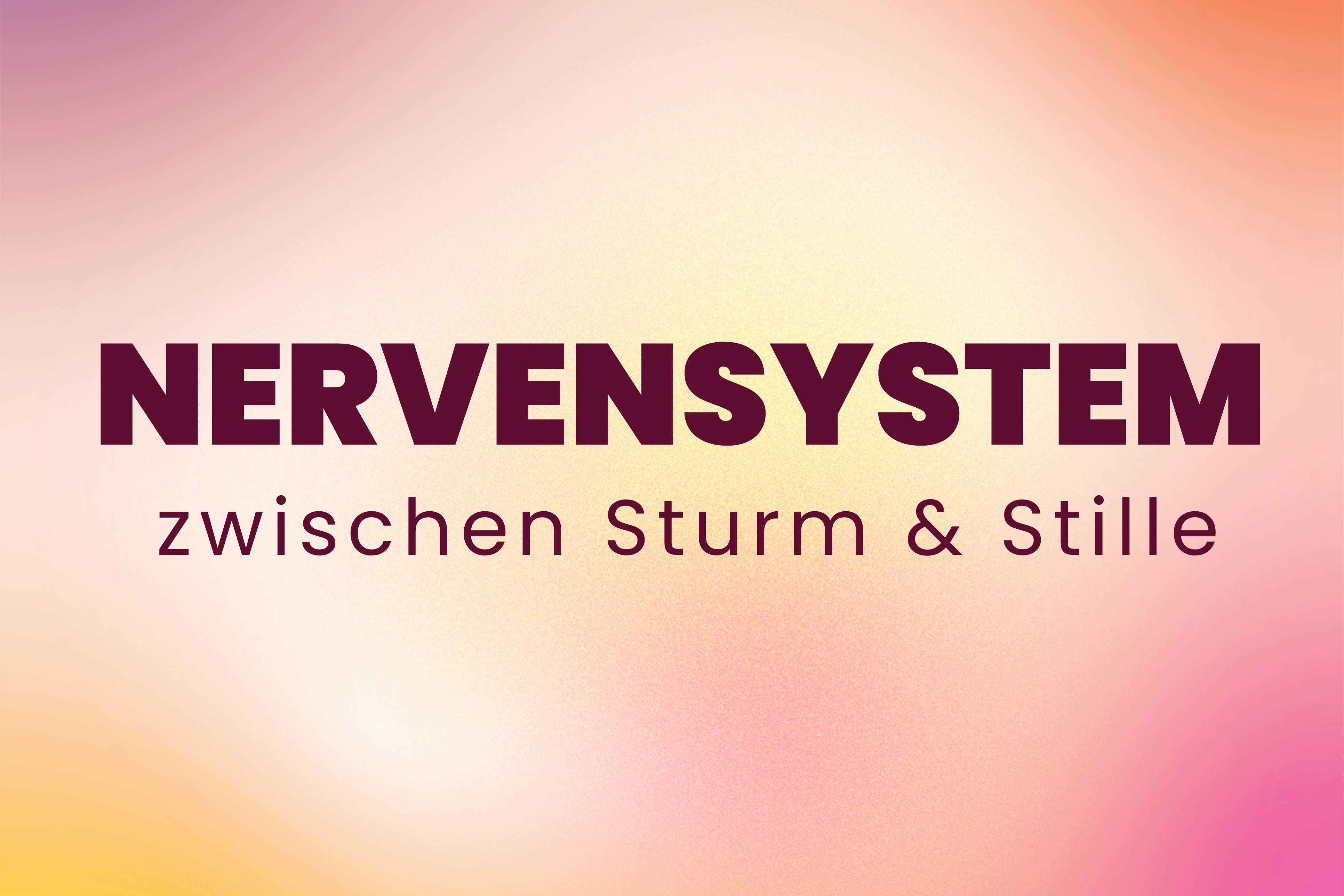 Kó Tageskongress,  Nervensystem - zwischen Sturm & Stille,  31.1.27
