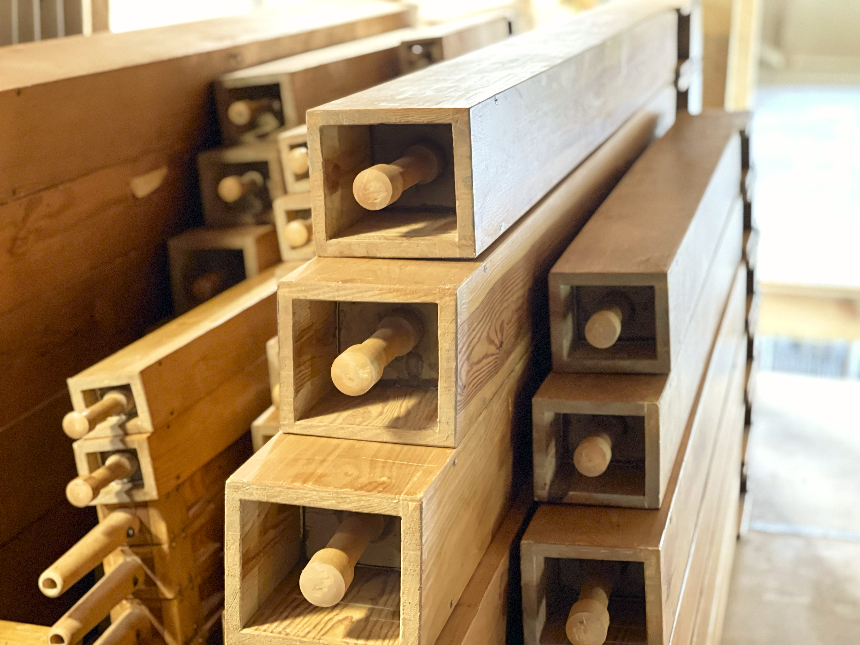 Orgel-Forscher-Tag Bautzen