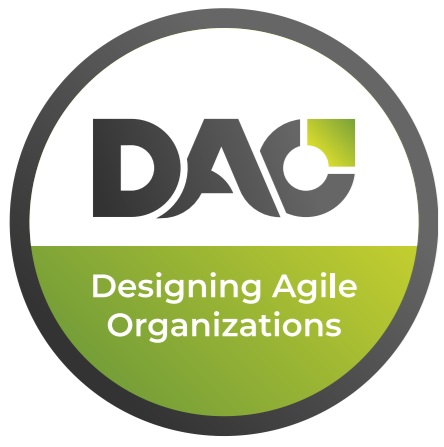 Designing Agile Organizations (English)