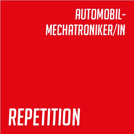 Automobil-Mechatroniker_in