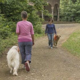 Social Walk (Anja, div. Tage/Uhrzeiten)