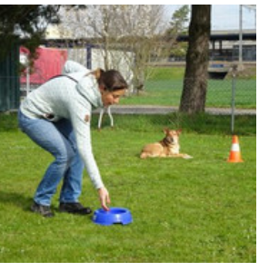 SpassSport 2025Q4 (Anja, Mo 17:30h)