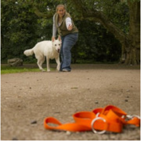 Alltagstraining f. Fortg. 2511-2512