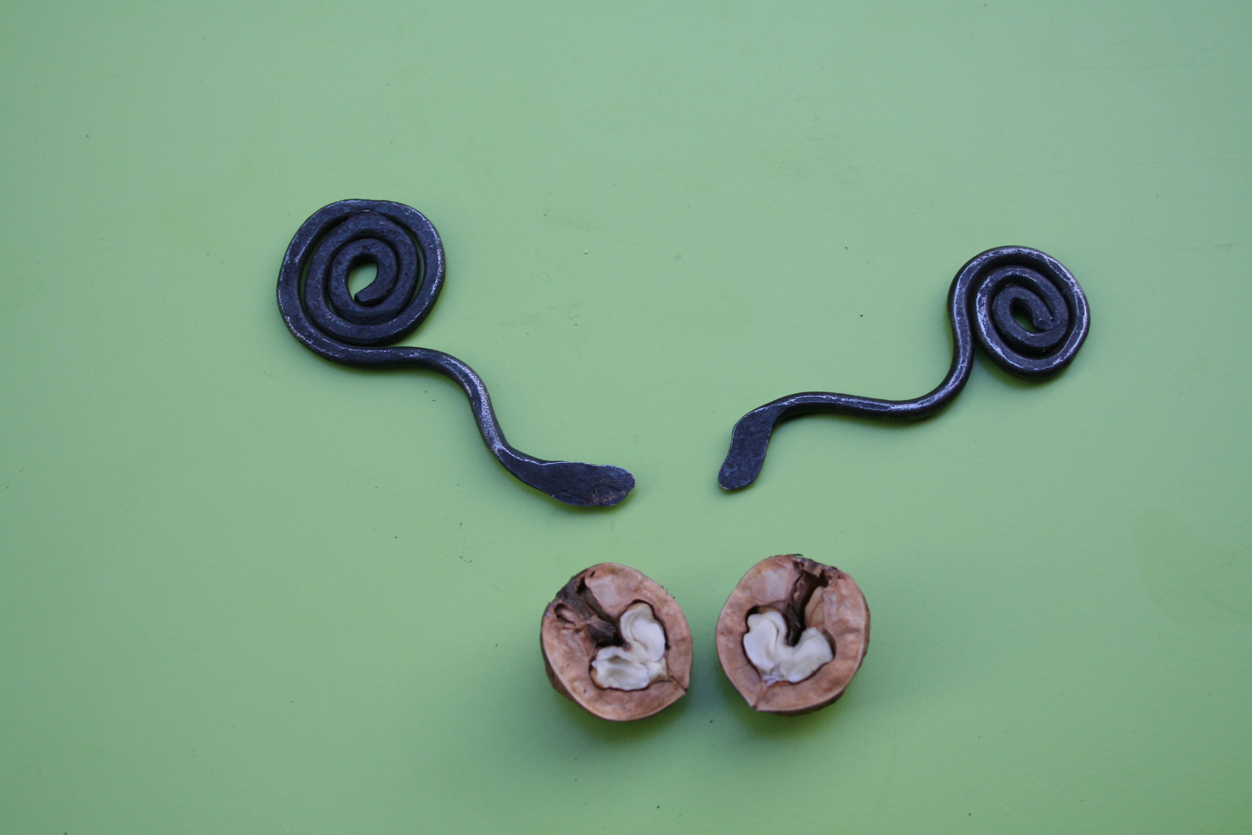 4.-Oberstufe Baumnussöffner klein.JPG