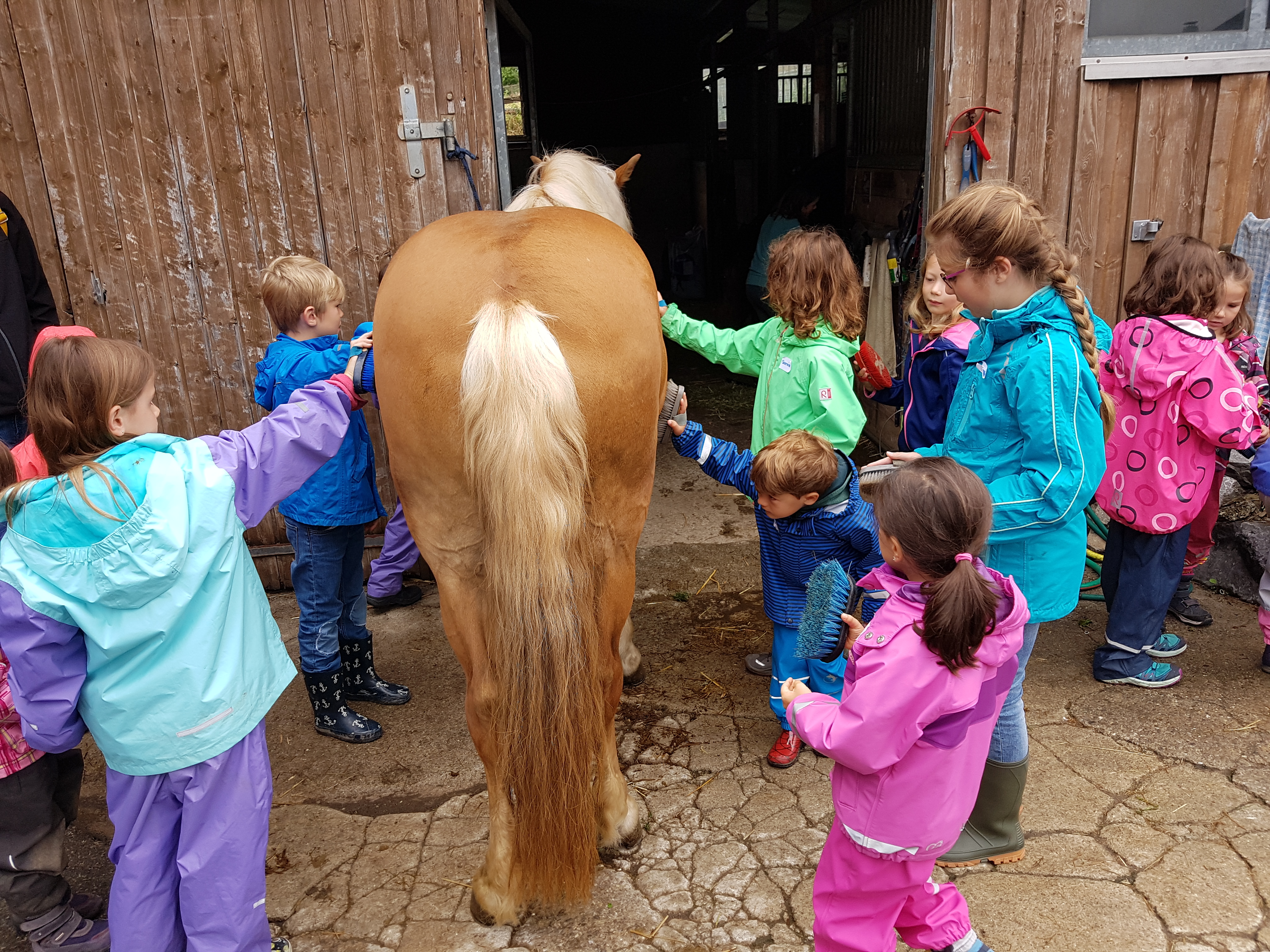 2020-07-17 09.41.00.jpg