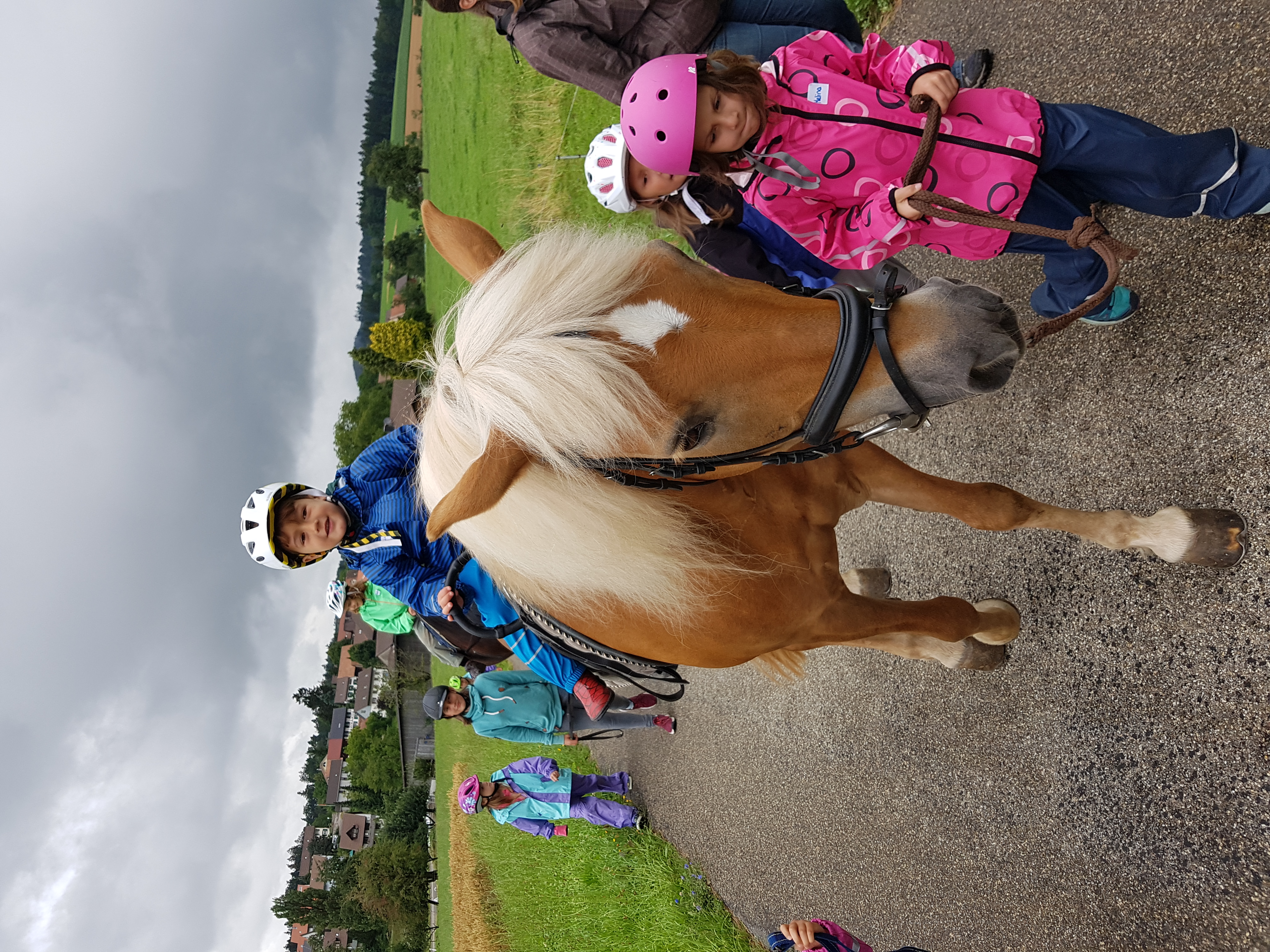 2020-07-17 10.17.49.jpg