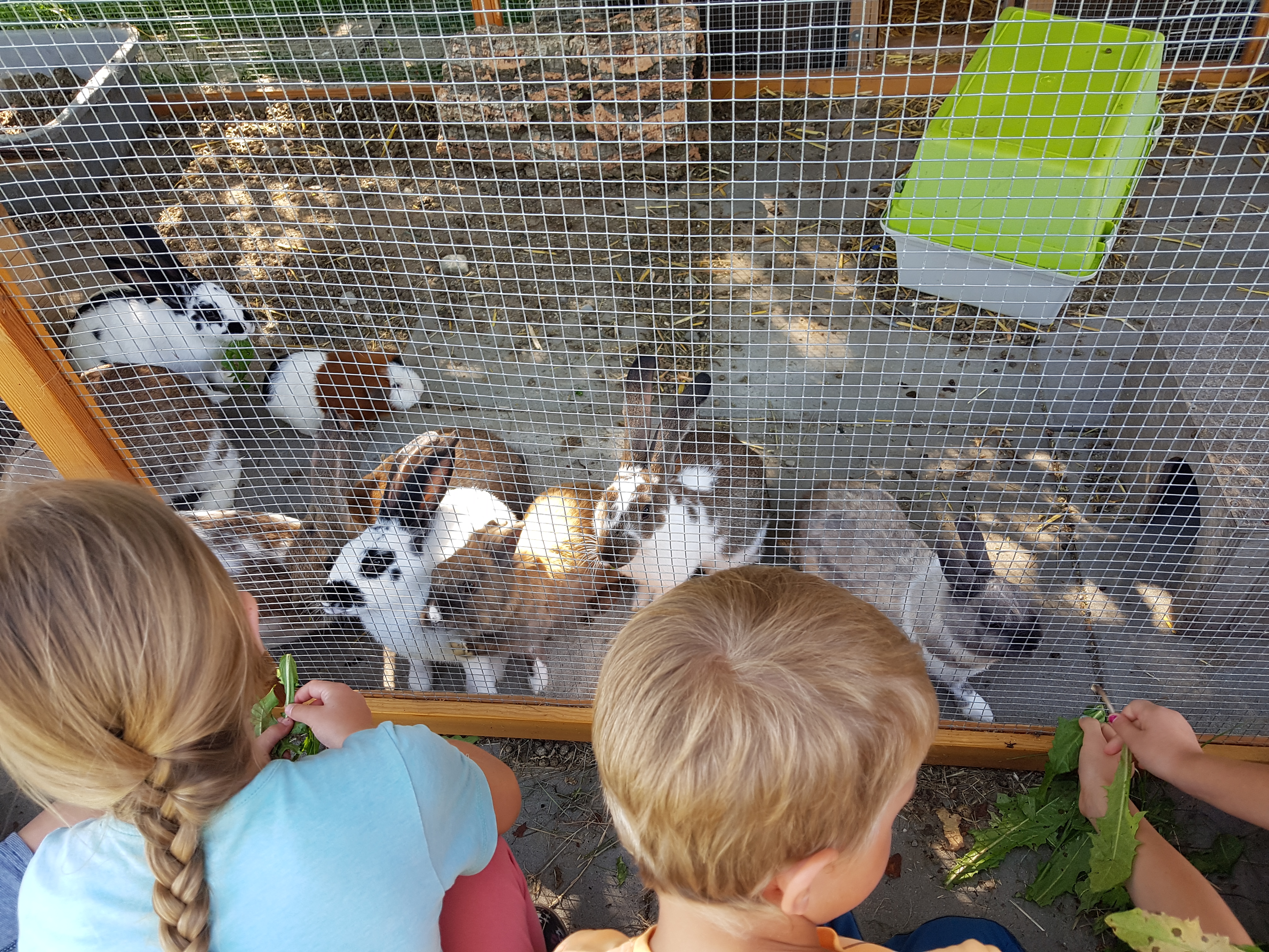 2020-07-13 16.42.54.jpg