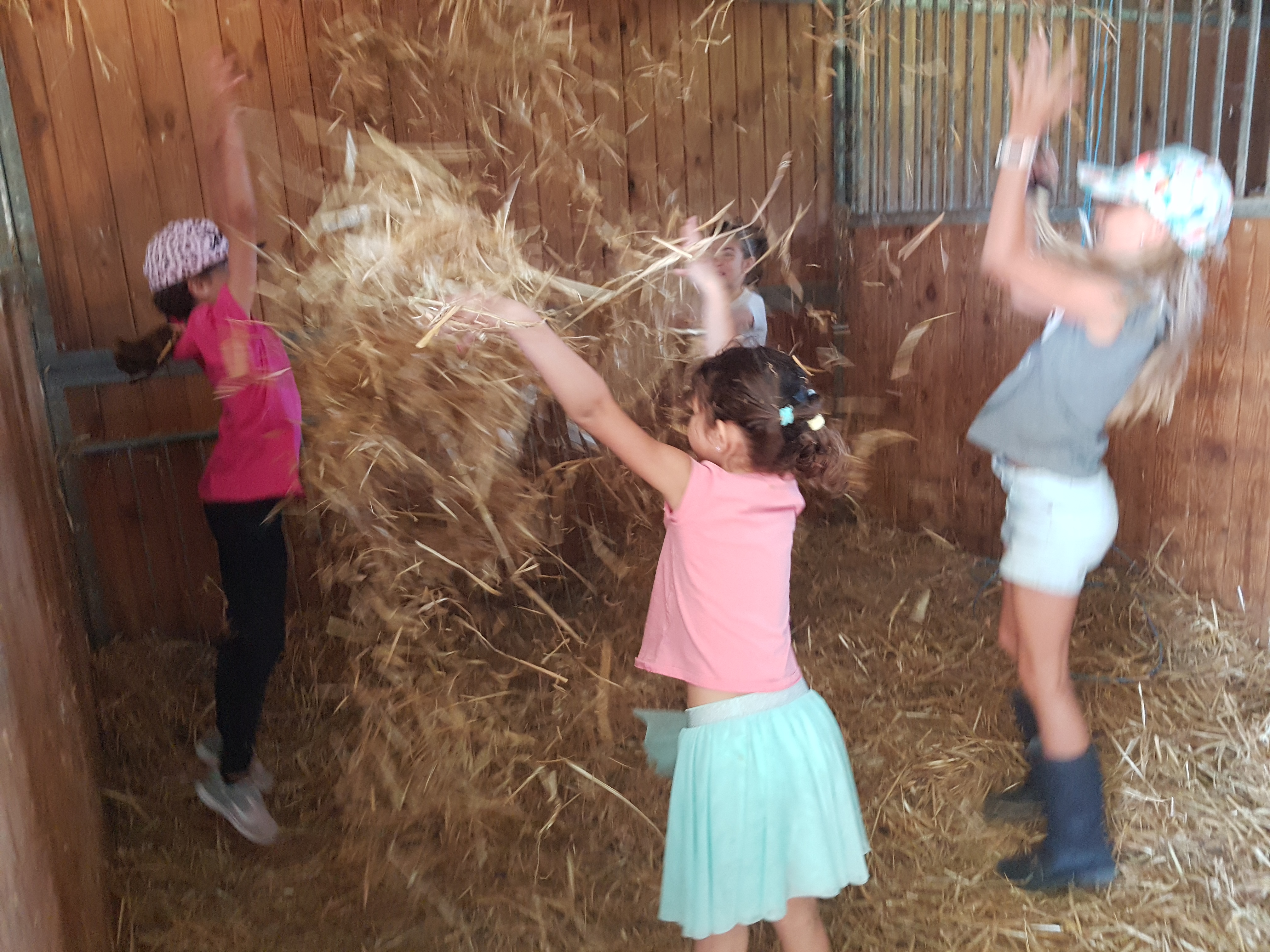 2020-07-13 17.14.57.jpg