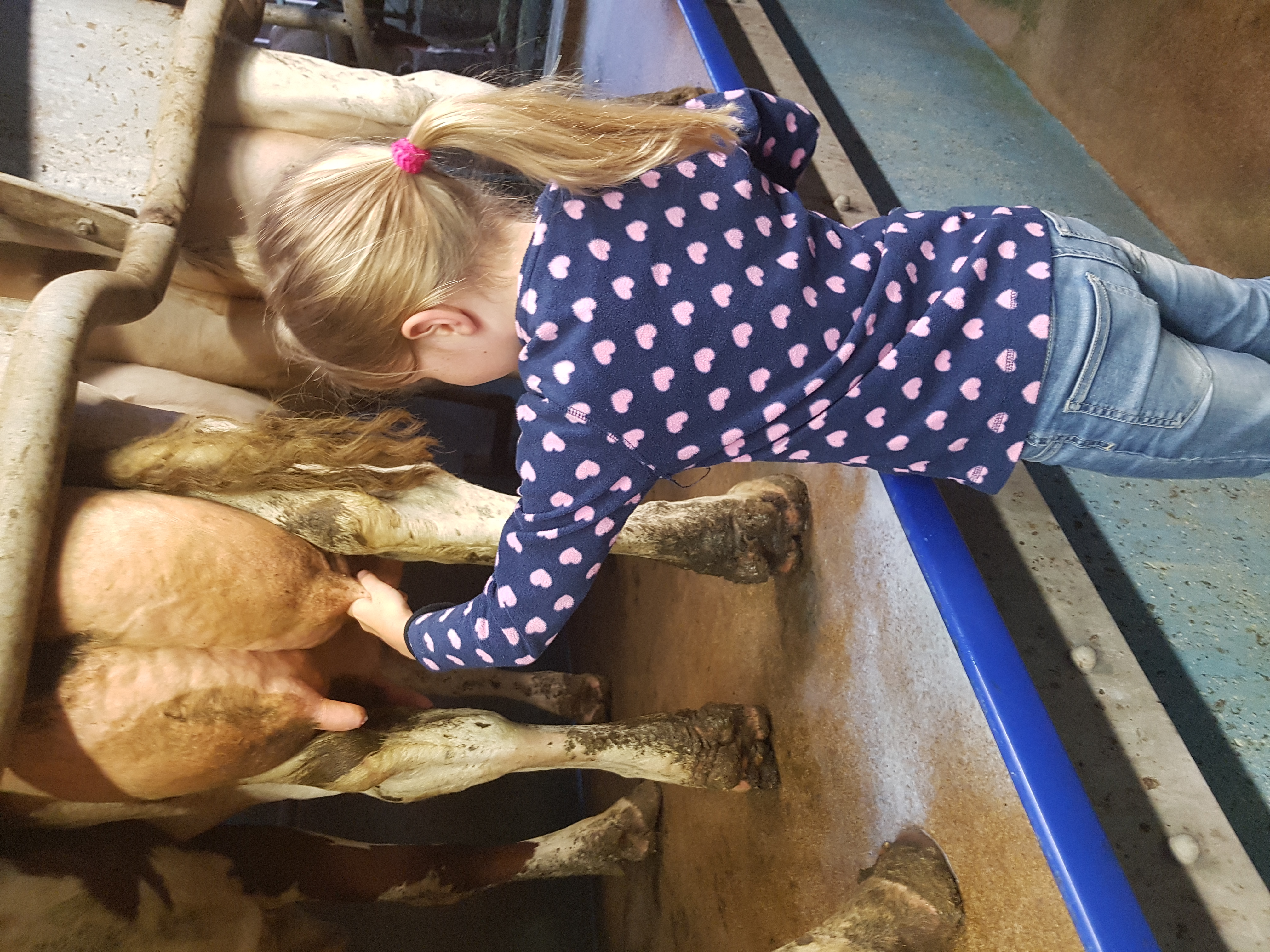 2020-07-15 06.25.44.jpg