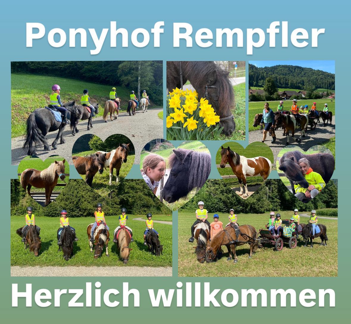 Ponyreitplausch (1. KIGA - 6. Klasse)