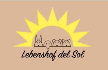 Zeit verbringen mit Schafen (1. - 3. Klasse)