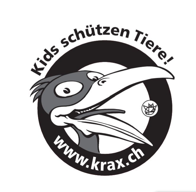 Die Welt der Wildbienen (1. KIGA - 3. Klasse)